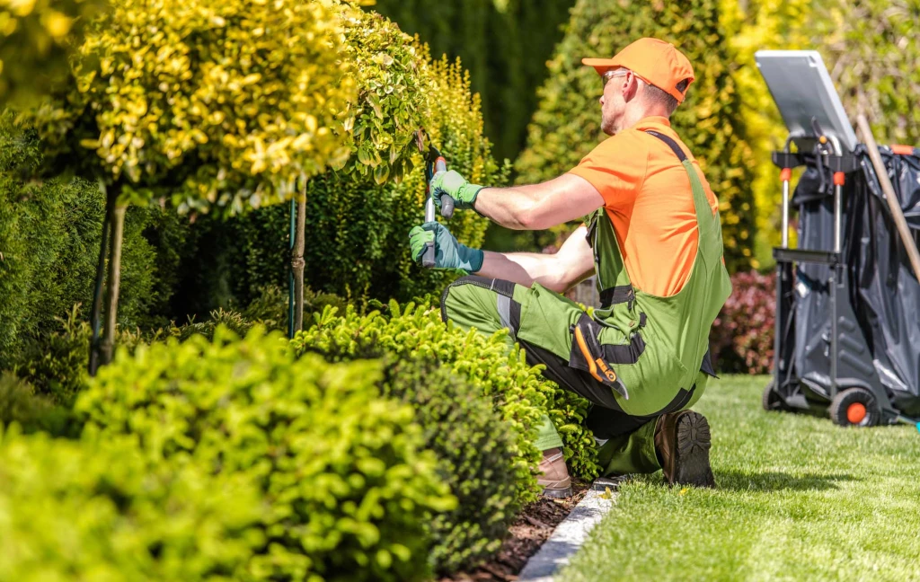Jardinagem profissional Start Limp